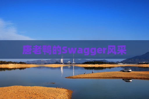 唐老鸭的Swagger风采