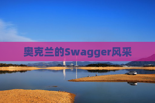 奥克兰的Swagger风采